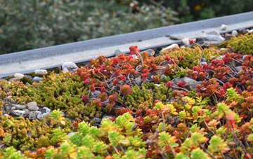 the cost of Tewin Wood green roof installation
