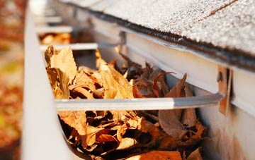 Tewin Wood gutter cleaning companies