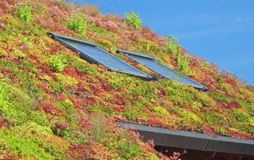 Tewin Wood living roof systems